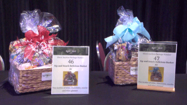 EPI's 39th Chocolate Ball raises funds for epilepsy support care