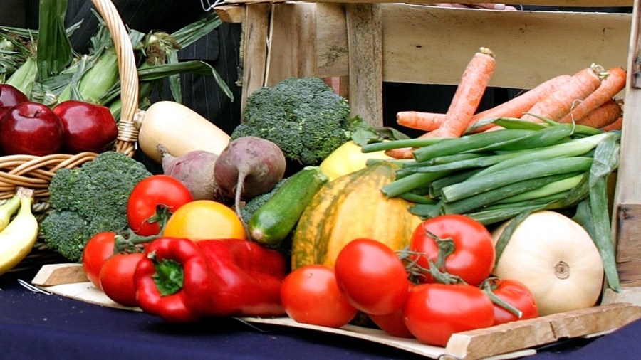 Veggies to Go event addresses food insecurity in Rochester