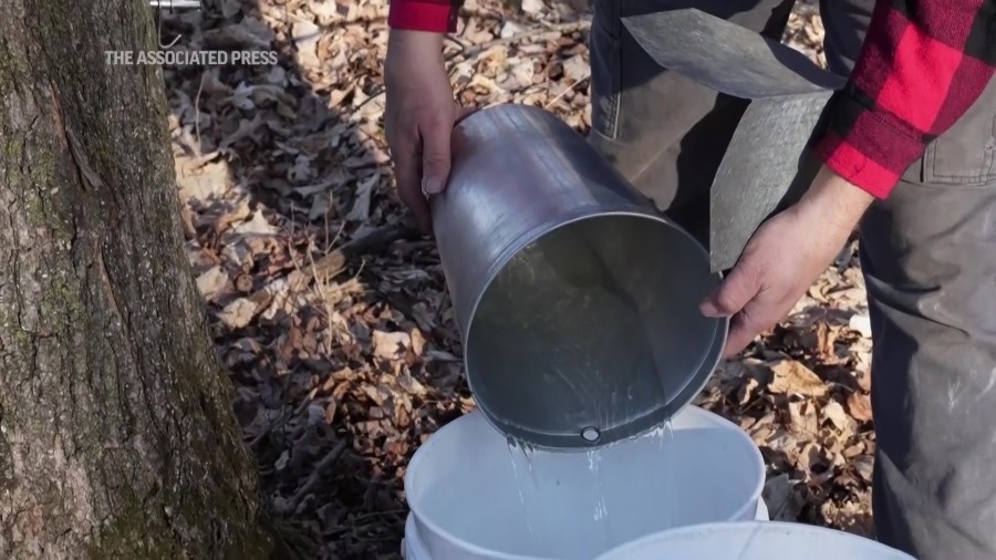 Maple Weekends 2025: Where to find local producers