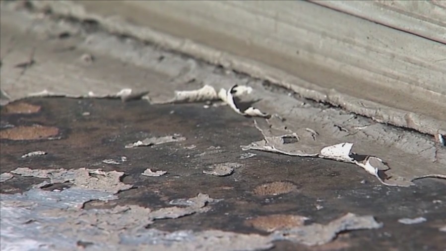 Local childhood lead poisoning coalition left questioning funding amid federal cuts