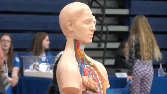 GLOW With Your Hands 2025 inspires future healthcare workers