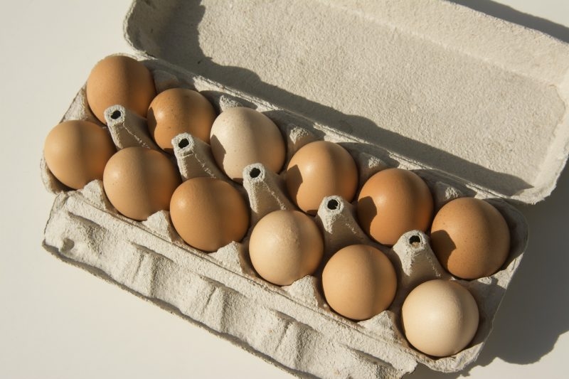 CDC alerts Salmonella outbreak in eggs