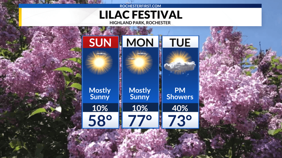 Weather Forecast: Sunshine and blue skies for the weekend