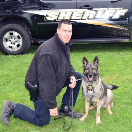 MCSO: Retired K9 Lola has passed away