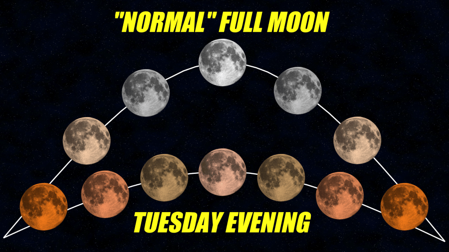 Unique Strawberry Moon set to illuminate Rochester sky Tuesday night