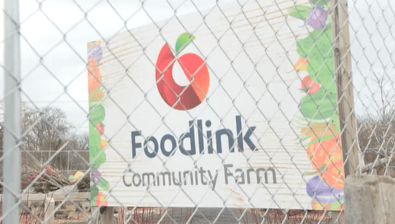 Foodlink addresses federal funding cuts to USDA food assistance programs