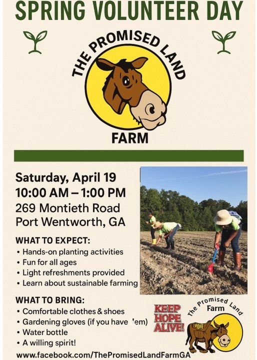 The Promised Land Farm hosts Spring Volunteer Day