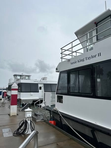 CAT introduces two new hybrid ferries