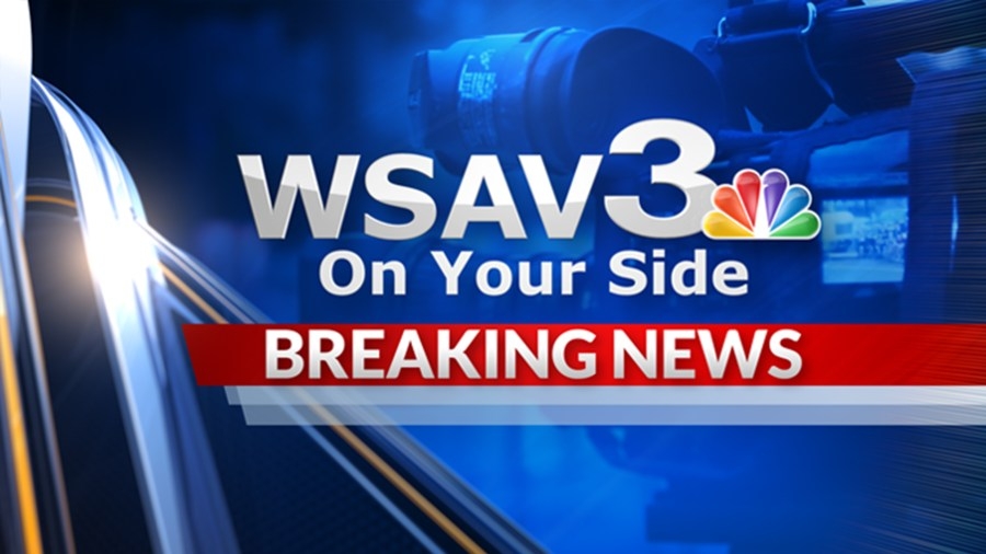 9 dogs rescued in Effingham County by Coastal Pet Rescue