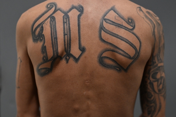 SC Solicitor pushing for gang statute, RICO law to fight crime