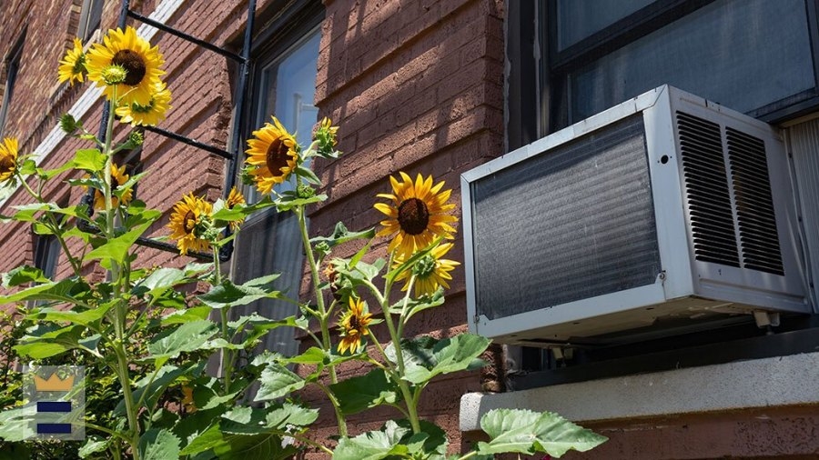 Cooling assistance accepting appointments starting Sunday