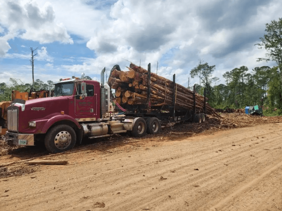 Emergency funds approved for Hurricane Helene cleanup at Thurmond Lake