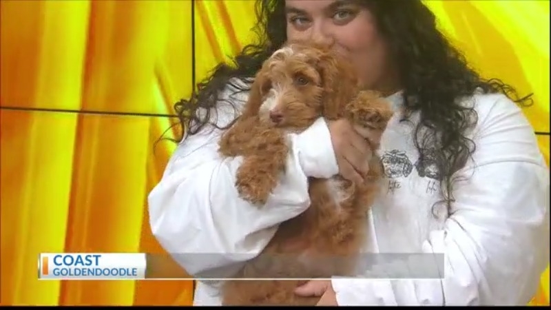 Community Voices: Puppy Yoga