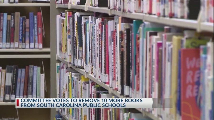 Committee votes to remove 10 more books from South Carolina public schools