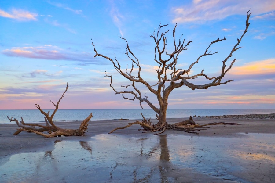 Jekyll Island beach listed as one of the best in US: Travelers' Choice Award