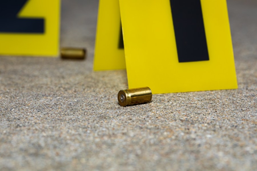Local students call for action against gun violence