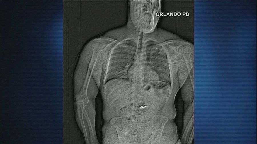 What's Trending: St. Patrick's Day, Lent, Florida man