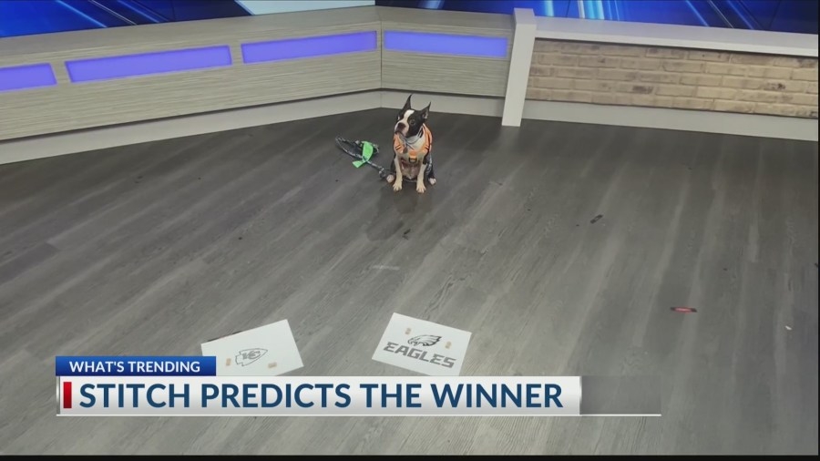 What's Trending: Stitch picks the winner for the Big Game