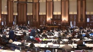 SINE DIE: Senate adjourns early as last day of Georgia legislative session comes to an end