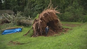 Giant tree crashes into another, sends it toppling onto Cobb County rental home