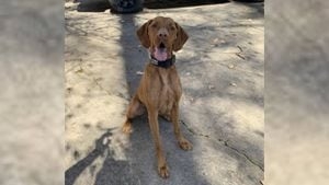 Johns Creek police welcome new K-9 officer