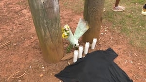 Gwinnett County friends mourn mother-of-six killed in pedestrian crash on Singleton Road