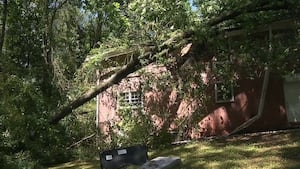 Storm knocks large tree onto house in Smyrna