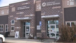 Hundreds of animals could be euthanized because of massive overcrowding at DeKalb shelter
