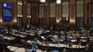 Georgia Democrats walk out of legislative session in protest of ban on gender-affirming care