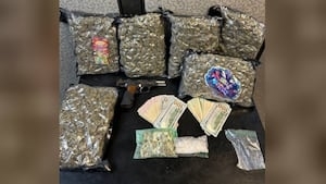 2 men arrested with meth, marijuana, and more in North GA mountains