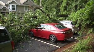 Severe weather: Oak tree falls on several cars at Atlanta apartment complex