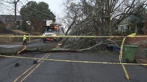 Storms bring down trees, knock power out for thousands