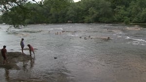 Is it safe to swim? Chattahoochee Riverkeeper's Swim Guide will give water quality reports