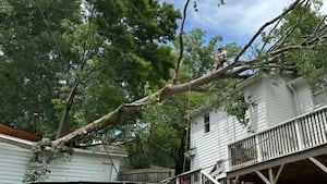 Crane needed to remove large tree that fell on Lawrenceville home in storm