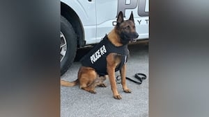 K-9 in Clayton County serves safer with donated protective vest
