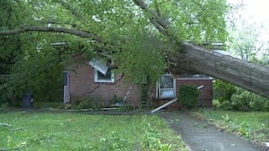 Severe storm sends trees crashing into homes in Floyd County