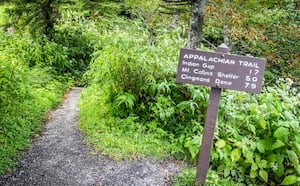 Bear activity shuts down north GA shelter near popular Appalachian Trail