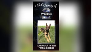 GSP K9 dies following medical emergency during training