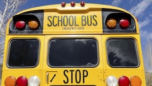 Ex-GA school bus driver charged after multiple students attack 7-year-old during route, deputies say