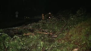 2 EF-0 tornadoes confirmed in Cherokee, Gordon counties during this week's storms