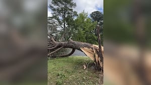 3 tornadoes confirmed in Coweta, Carroll counties during Tuesday storms