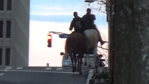 Animal rights group asks for ban on recreational horse back riding in Atlanta