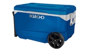 More than 1.2M Igloo coolers recalled due to finger amputation danger