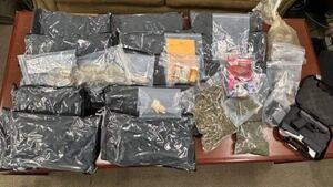 2 people facing multiple drug charges after police search North GA home