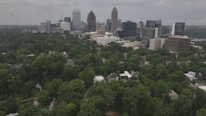 Atlanta tree removal ordinance moves forward to full council vote, fines could triple for violations