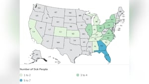 At least 7 in GA sickened in Salmonella outbreak linked to cucumbers