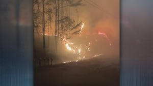 Grandmother evacuates 7 kids to safety after power lines spark wildfire in Pickens County