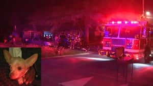 Family dog saves the day, alerts owners of early morning house fire in Atlanta