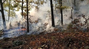 Annual Georgia burn ban just 2 days away. Here's what you need to know