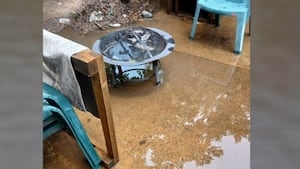 Fairburn woman says apartment floods whenever there is heavy rainfall